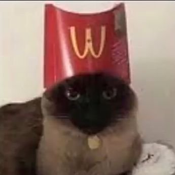 I'm just your local cat who loves fries🍟🍟🍟🍟🍟🍟🍟🍟🍟