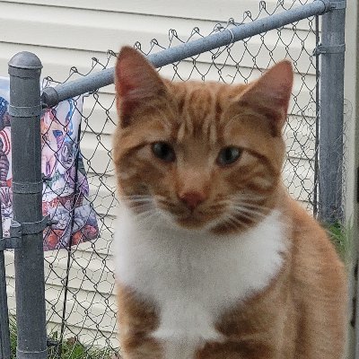 huttoobxva1's profile picture. Engaged great grandma!