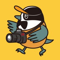 鳥鉄 ガラピー(@OuZI3QkQyUapzNh) 's Twitter Profile Photo