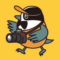 鳥鉄 ガラピー (@ouzi3qkqyuapznh) 's Twitter Profile