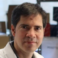 David Sancho (@sancholab) 's Twitter Profile Photo David Sancho (@sancholab) 's Twitter Profile Photo