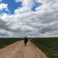 Alvariito (@alvariito__cs) 's Twitter Profile