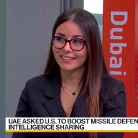 Abeer Abu-Omar (@abeerao1) Twitter profile photo