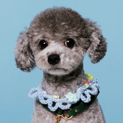 tesatoetoet's profile picture. 