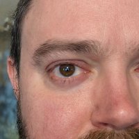Todd DeLuca (@todddeluca) 's Twitter Profile