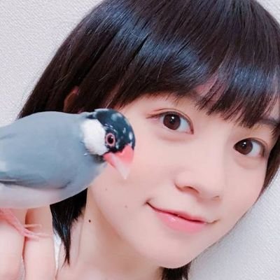 フォロワー5000人目指してます。皆様フォローありがとうございます。