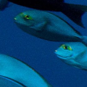 CubeXProject's profile picture. Enjoy Your Holidays.