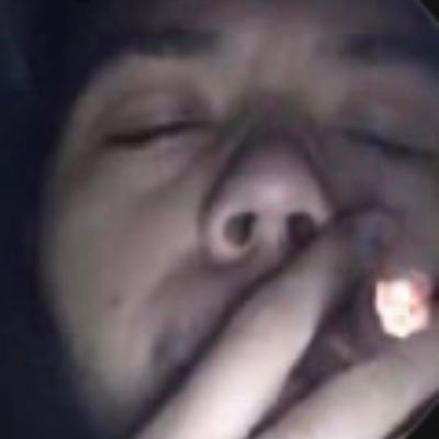 quinedotta's profile picture. 
