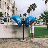 Susanna Kohly ⚡️ (@susannakohly) 's Twitter Profile Photo