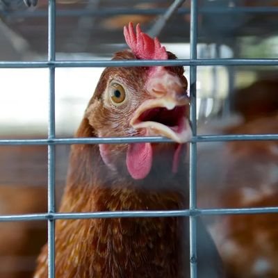 JDB_314159's profile picture. 