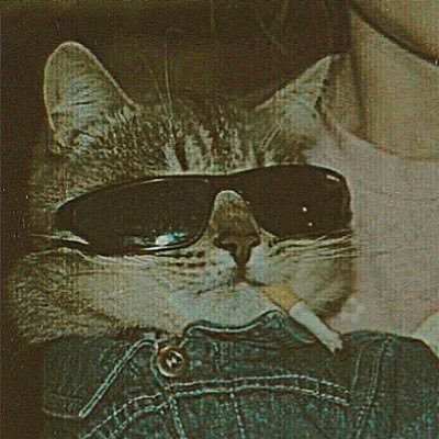 sxzrr's profile picture. 