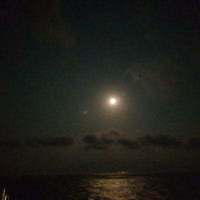 Murphy40618087's profile picture. 