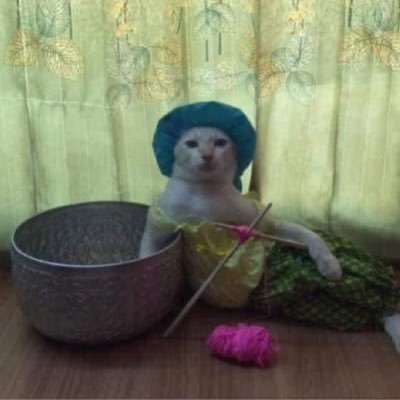 laurenparryx's profile picture. 