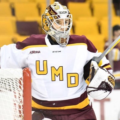 University of Minnesota Duluth