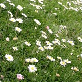 Mystufffxox's profile picture. Hold tight of what you want