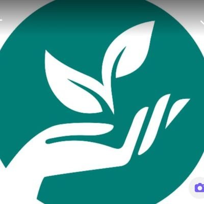 LiveLearn_Mv's profile picture. maldives@livelearn.org