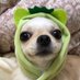 ãããã ð«§ ðŠððð¥¬ð ðàŸàœ²ð§Œ (@kstila_04240) Twitter profile photo ãããã ð«§ ðŠððð¥¬ð ðàŸàœ²ð§Œ (@kstila_04240) Twitter profile photo