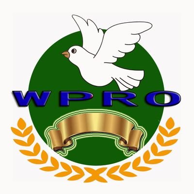 Deputy Secretary General of the World Peace Ribbon Organization, Ambassador for the promotion of the Belt & Road international day (16,December)