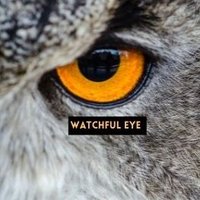 WatchfulEye(@WatchfulEye_VA) 's Twitter Profile Photo