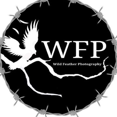 WFP2001's profile picture. I'm a professional action photographer.