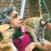 All Creatures Great And Small (@acgssanctuary) Twitter profile photo All Creatures Great And Small (@acgssanctuary) Twitter profile photo