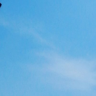 kwannn2934's profile picture. 