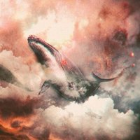 Kujira クジラ (@mwckujira) 's Twitter Profile