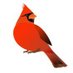 Kerrydale ES (@kerrydalees) Twitter profile photo Kerrydale ES (@kerrydalees) Twitter profile photo