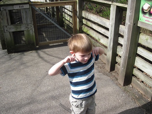 shdemocha's profile picture. 