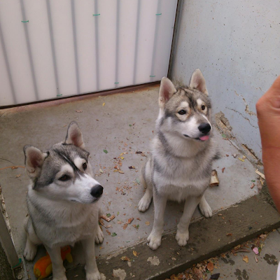 Evilneo421's profile picture. 