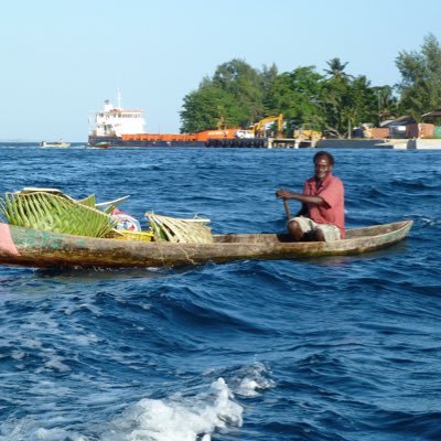 Physician epidemiologist working on health capacity building partnership Solomon Islands. Affiliation: @GeorgetownSFS @CANZPS and https://t.co/hap22oULYR