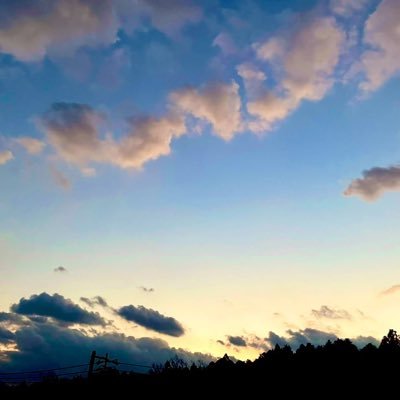 シノザキさんのプロフィール画像
