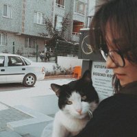 naz (@dinoonaz) 's Twitter Profile