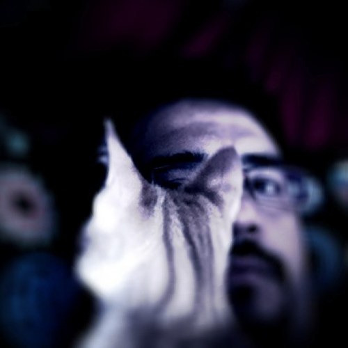 gmaciasb's profile picture. IPholic (https://t.co/mM5nLDfxao)