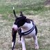 Baxter (@alansmi54236674) Twitter profile photo Baxter (@alansmi54236674) Twitter profile photo