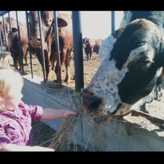 KayleighMelo's profile picture. 