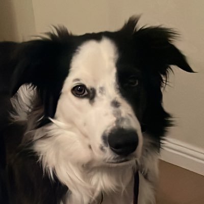 PesqueiraErick's profile picture. 