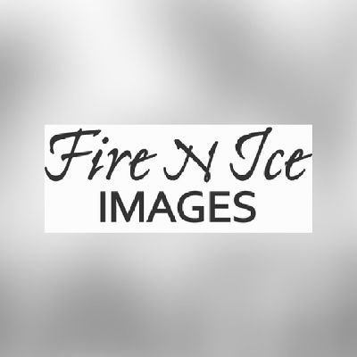 Boudoir, Bikini, Lingerie and Art Nude photographer. Raleigh, NC