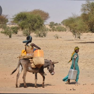 Infos et analyses sur le Sahel en général et le Burkina Faso en particulier.
Expertise sécuritaire - Afrique de l'Ouest.