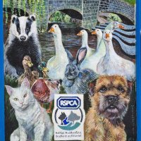 RSPCA Hebden Bridge Charity Shop(@RspcaHebden) 's Twitter Profile Photo