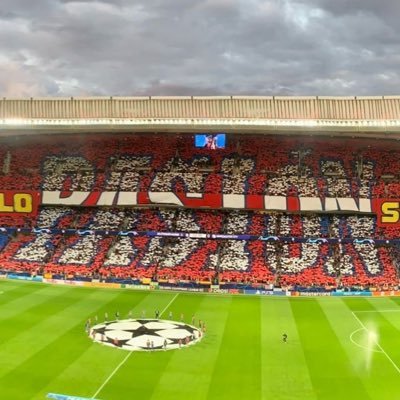 De campo, vivo entre animales. Del atleti desde el 96 ❤️🤍