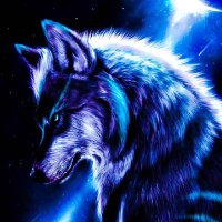 Serkan Şahin (@ramazandogan41) Twitter profile photo