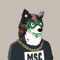 Sage0x 🛸 🕹️ $RCADE (@sage0x) 's Twitter Profile