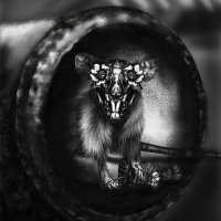 Kejijo LLC (@kaylabucher) 's Twitter Profile