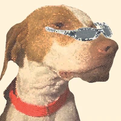 jb_________0's profile picture. words