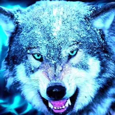 wolf_eyes_80's profile picture. Admiral