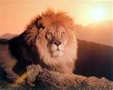 chrisj72's profile picture. A.B.L.E. youth ministry for Kingdom Living Full Gospel Baptist Church. The Inside Man Men's Ministry of Kingdom Living Full Baptist Church.