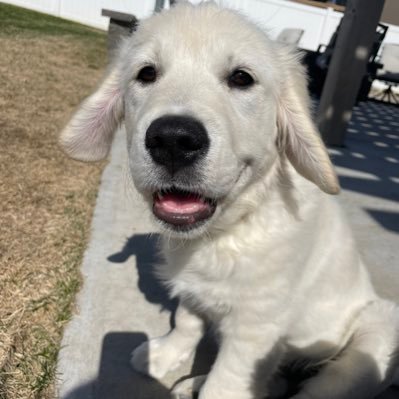 brooke_tekrony's profile picture. 