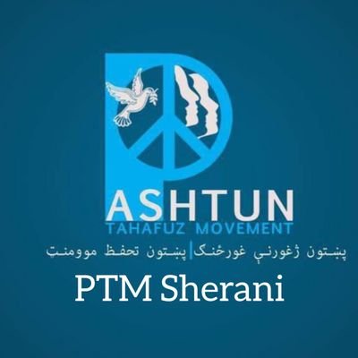 SheraniPtm's profile picture. PTM Sherani Official