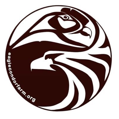 EagleCondorFarm's profile picture. #Permaculture, #reforestation, #alpacas, #art #cafe #workshops & #Love